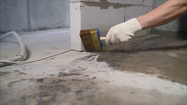 24/7 Emergency Exterior Waterproofing experts in Saint Francis, MN